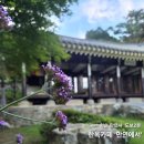 카페로천커피&전통차 | 화순 한옥카페 만연에서 만연사 능소화 구경 후 들른 감동적인 솔직후기