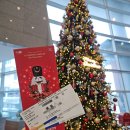 이천아트홀 | 이천 아트홀 유니버셜발레단 <호두까기인형> 관람후기