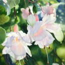 수채화 그리기 이미지