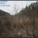 임고면-고천리-16
