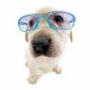 홈런피씨 | 치치