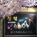 정필참치