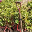 상록(주) 이미지