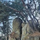 동천카정비 | ^ 관악산 케이블능선/ 250225.화/ 2510