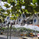 방산농장 이미지