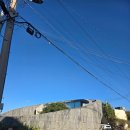 하늘고래앤드 이미지