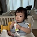 세빈목장 | D+369 캬아 첫 우유 마셨어요🥛