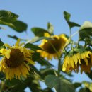 온석2통경로당 이미지