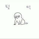 수정메디 이미지