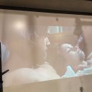 (주)세진팜 | [💍청모후기] 서울 청첩장 모임 장소 추천ver.3 :: 문래/마포/공덕/합정/상수/강남