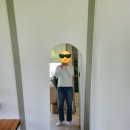 스테이하례 이미지