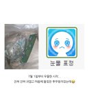 은주네 펜션 | 일월