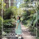 마루공원 | 멜버른마루동물원 퍼핑빌리투어후기 단데농레인지스국립공원