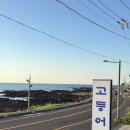 호텔오늘 이미지