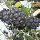 김순덕 농장 이미지