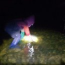 착한 다슬기 이미지