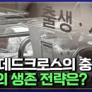 인구 데드크로스의 충격, 한국의 생존 전략은? 이미지