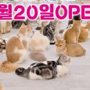 캣플코지눅 시화점 이미지