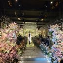 수원-1116 | [수원] 수원 웨딩홀 추천 파티웨딩유 식사 한정식 세미뷔페 주차 ATM 아모르홀 암행투어 하객 후기