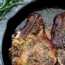 마이야르 이미지