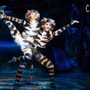 (공연) 캣츠 오리지널 내한공연1 이미지