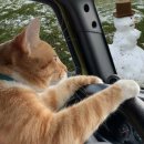 천주교연신내성당 북카페 | [ 여행 ] 야무지게 돌아다닌 추석 연휴 1박 2일 가을 공주여행