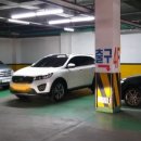 로얄스포츠 이미지