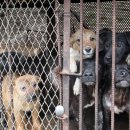 고막농장 이미지