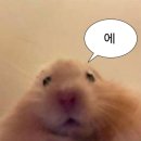 데이오프 이미지