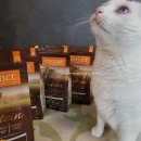 한국네이처스버라이어티(주) | 알러지 고양이 네이처스버라이어티 생식본능 얼티밋 고단백 사료 추천