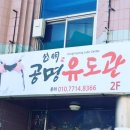 공명유도주짓수 이미지