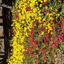 아라뱃길남측공원 이미지