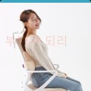 꼬꼬치 | 40대 직장인 허리 구원템! [다니카] 꼬꼬치 허리 바른자세 메모리폼 쿠션 리얼 사용 후기