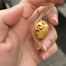 독막로 188 네이버블로그