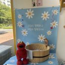 THE 이쁘개 이미지