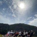 비벨라핏 이미지