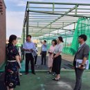 저동초등학교 이미지