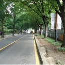 동작충효길 5코스 보라매길 이미지