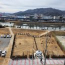 댕댕놀이터 이미지