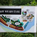 솔봉펜션 이미지