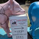 태신인테리어 | 아그로랜드 태신목장 솔직한 후기