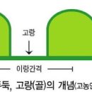 마스터인사이트
