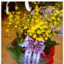 청석 초등학교 이미지