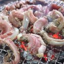 태중산아나고곰장어 이미지