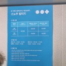 예그리나 호스텔 | 휘닉스평창 스노우빌리지 눈썰매장 아이와 함게 마지막 겨울을 즐기러 고고