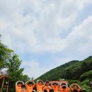 열정 태권도장 이미지