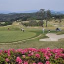 포천아도니스 C.C 이미지