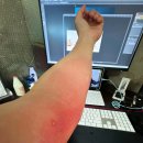 실로암정형외과의원 이미지