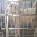 진등재 주유소 이미지