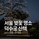 덕수궁 | 서울 벚꽃 명소 덕수궁 산책 후기 | 서울 산책하기 좋은 곳 야간 벚꽃 코스 추천
